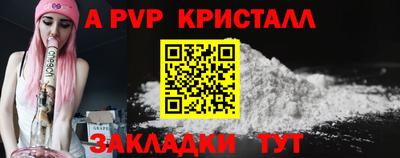 Альфа ПВП Новодвинск