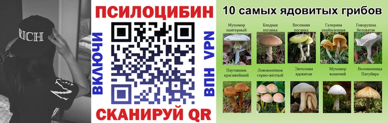 Псилоцибиновые грибы мухоморы  hydra ONION  Сыктывкар 