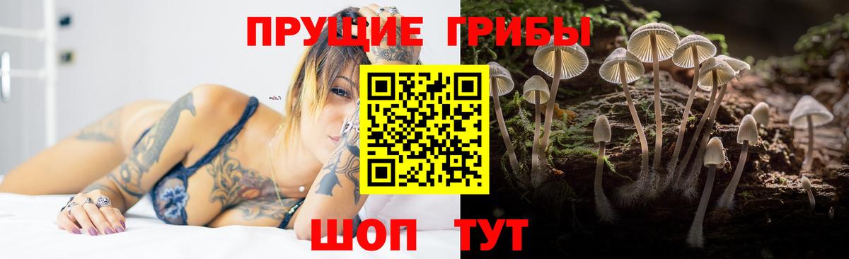Галлюциногенные грибы Magic Shrooms Сыктывкар